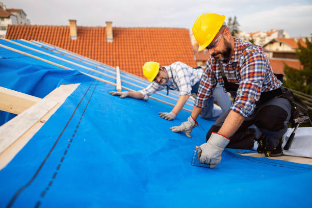 Best Steel Roofing  in Richmond Hill, GA