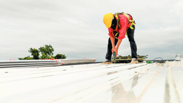 Best Chimney Flashing Repair  in Richmond Hill, GA