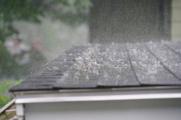 Best Roof Maintenance and Cleaning  in Richmond Hill, GA