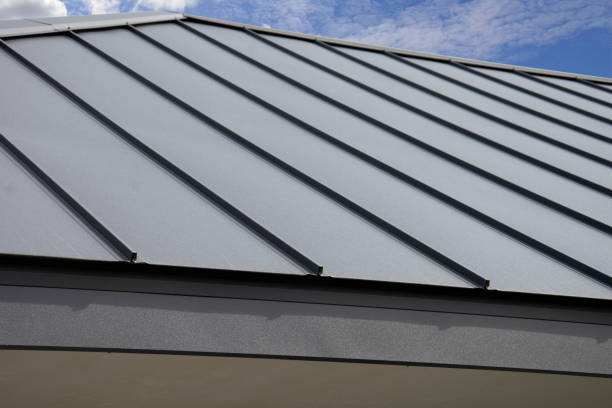 Best Skylight Installation and Repair  in Richmond Hill, GA